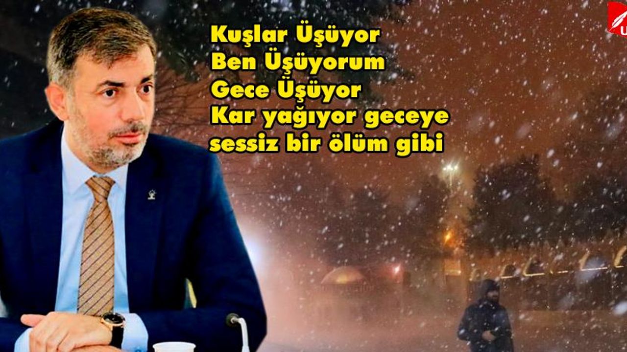 Urfa’ya Yağan Kar, AK Parti Şanlıurfa İl Başkanına Şiir Yazdırdı