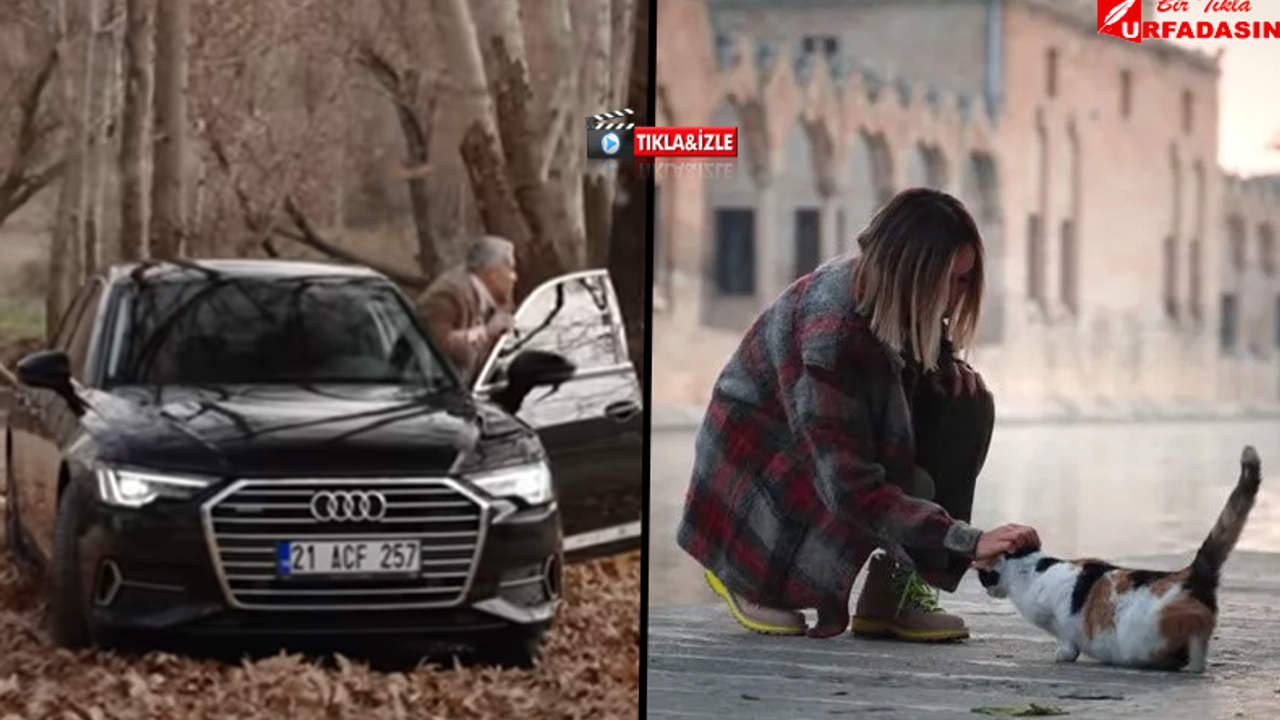 Audi'den Şanlıurfa'ya Özel Reklam