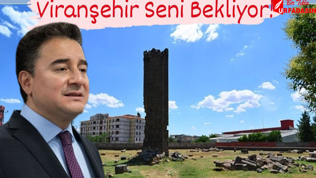 Ali Babacan Viranşehir’e Geliyor