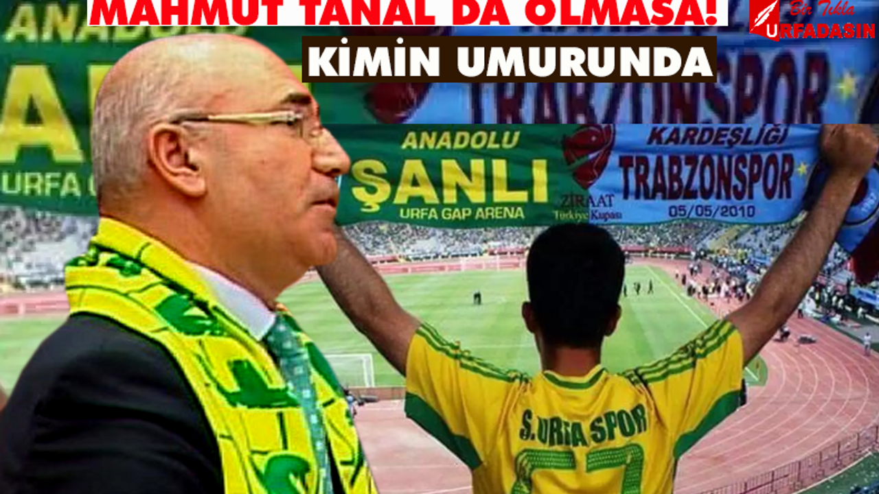Tanal, Trabzonspor Altay Maçının İptal Edilmesine Tepki Gösterdi