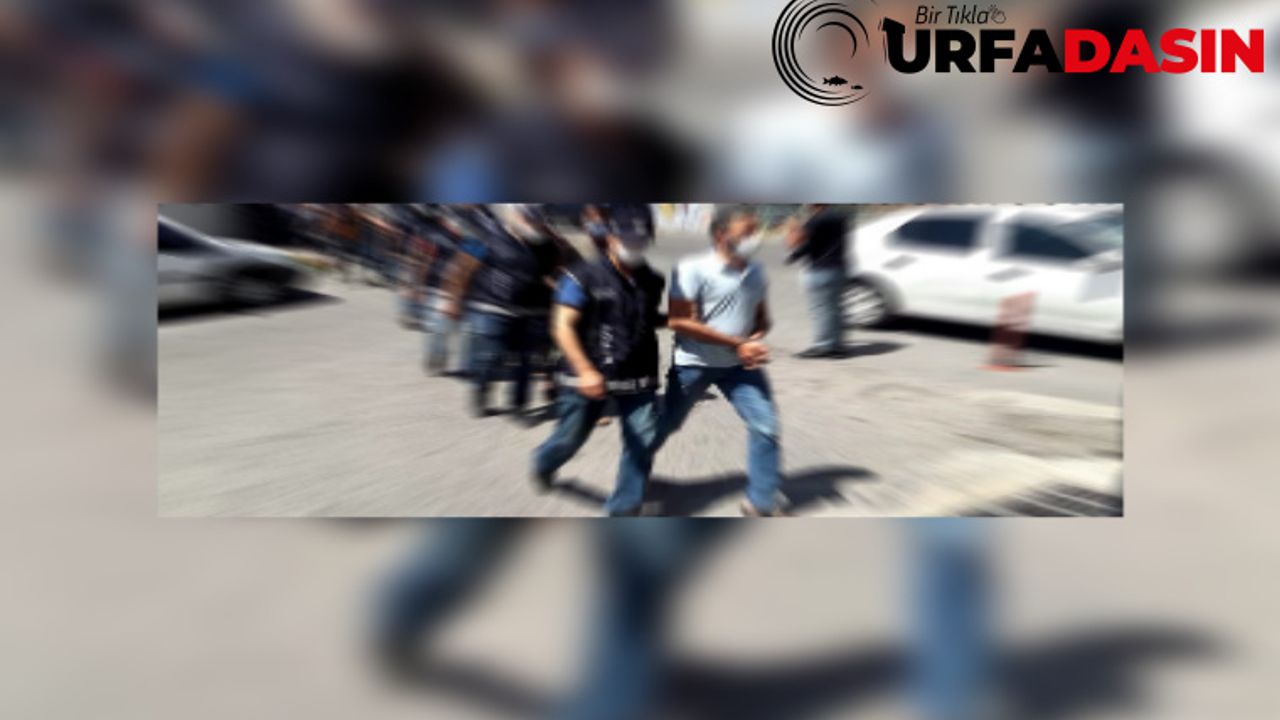 Şanlıurfa'da "Kökünü Kurutma" Operasyonu 15 Gözaltı
