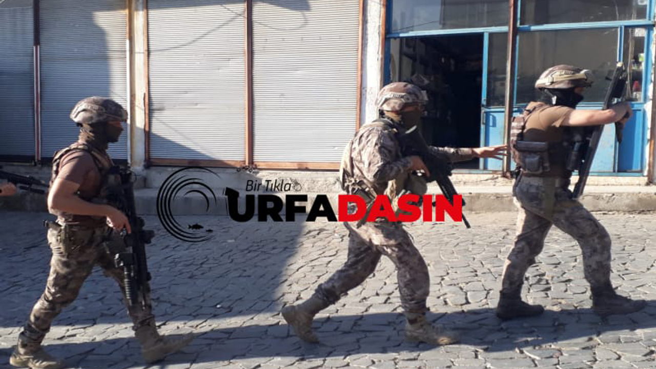Şanlıurfa'da PKK/YPG Operasyonu 7 Gözaltı