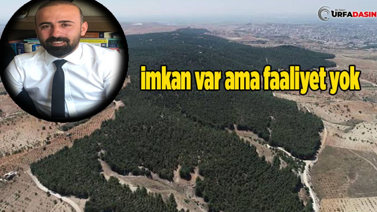 HDP Eş Başkanı Atış: Neden Yeşil Alanımız Yetersiz
