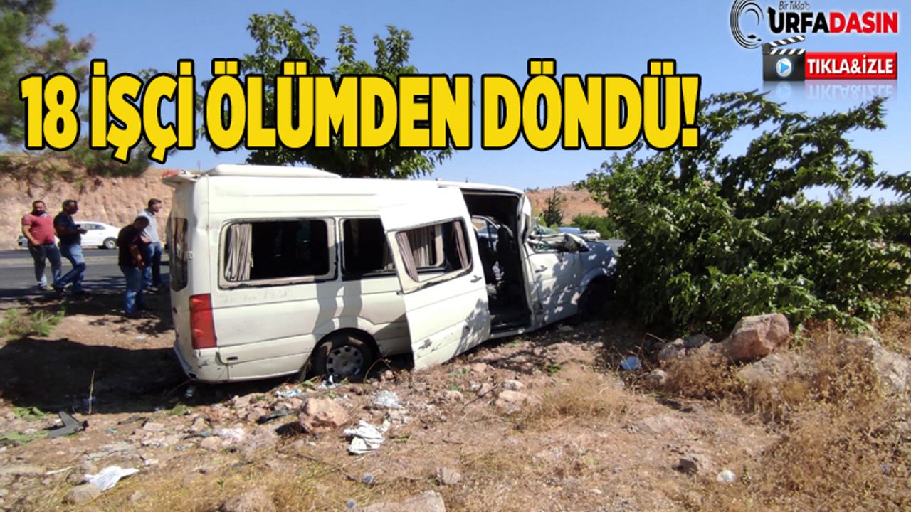 Şanlıurfa'da Feci Kaza Çok Sayıda Yaralı