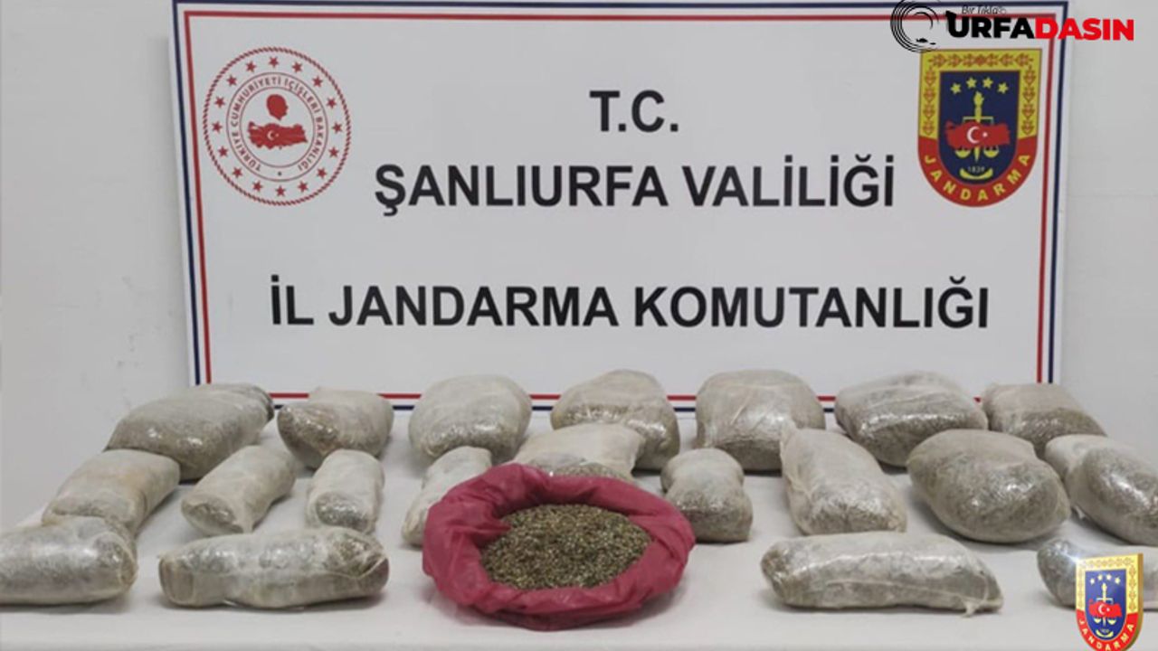 Şanlıurfa'da Jandarma'dan Uyuşturucu Operasyonu