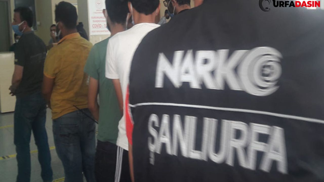Şanlıurfa'da Uyuşturucu Operasyonu 11 Gözaltı
