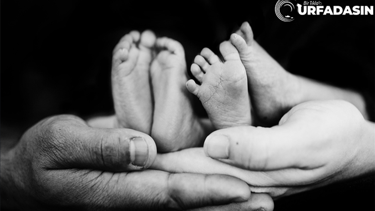 Türkiye'de En Fazla İkiz Ve Üçüzün Doğduğu İl Şanlıurfa