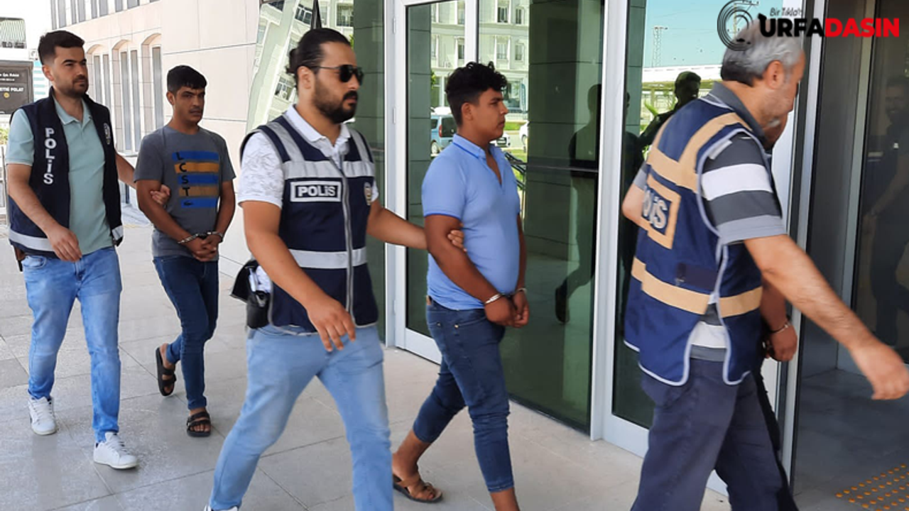 Urfa'da Telefon Dolandırıcılığı Operasyonunda 4 Tutuklama