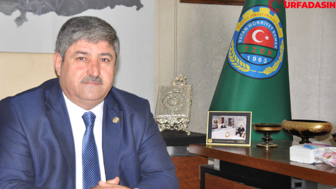 Ziraat Odası Başkanı Eyyüpoğlu’ndan Kurban Bayramı Mesajı