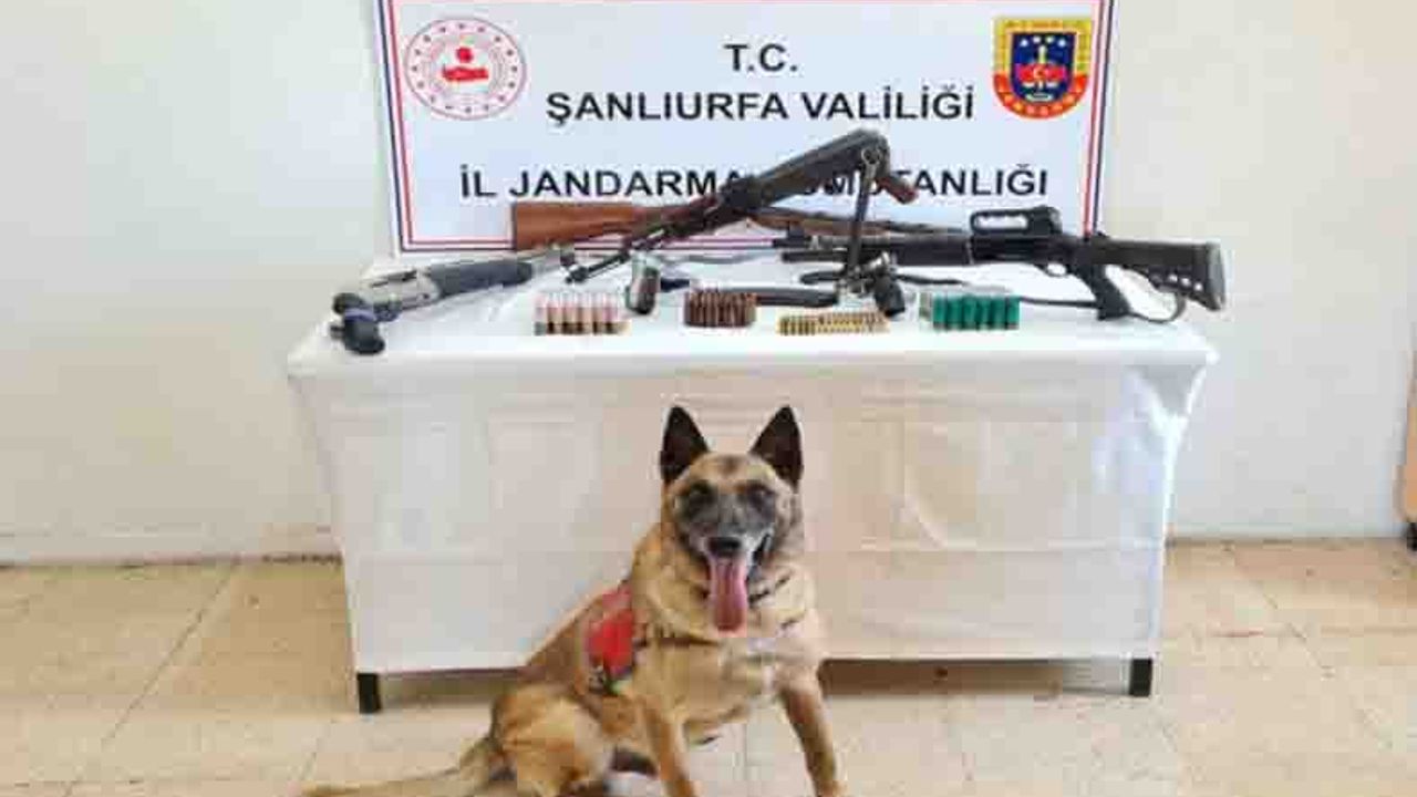 Şanlıurfa'da Silah Kaçakçılığına 3 Gözaltı
