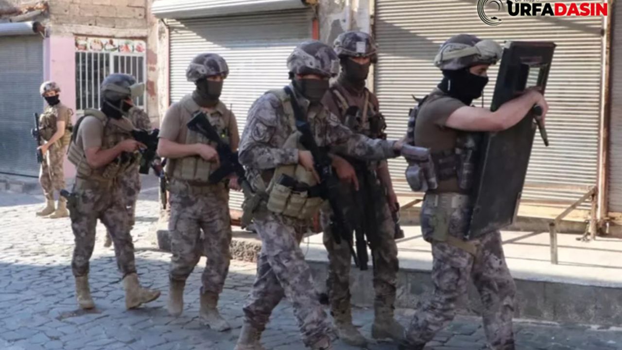 Şanlıurfa'da Terör Operasyonu Gözaltı Var