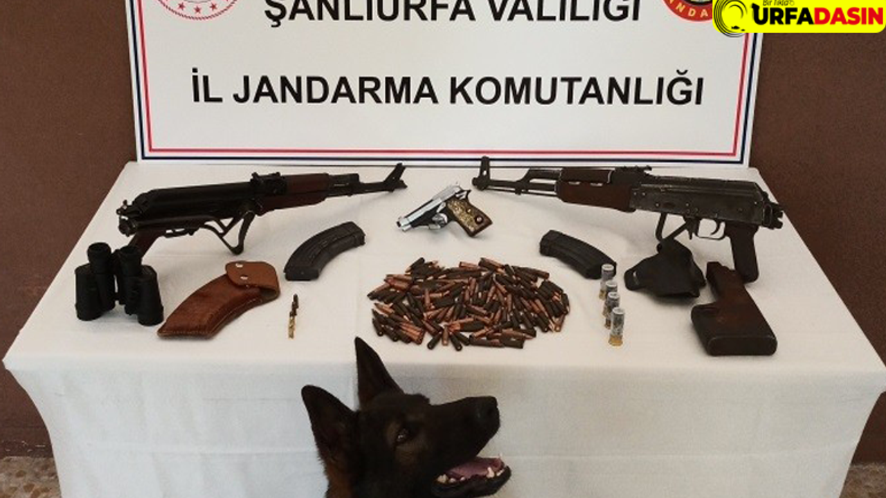 Şanlıurfa’da Silah Kaçakçılığı Operasyonu: 2 Gözaltı