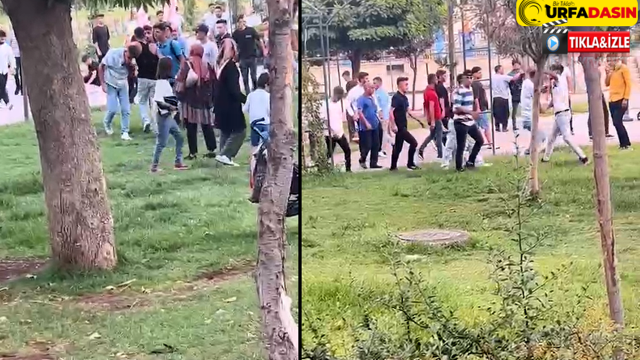 Gençler, Cevheri Parkında Tekme Tokat Kavga Etti