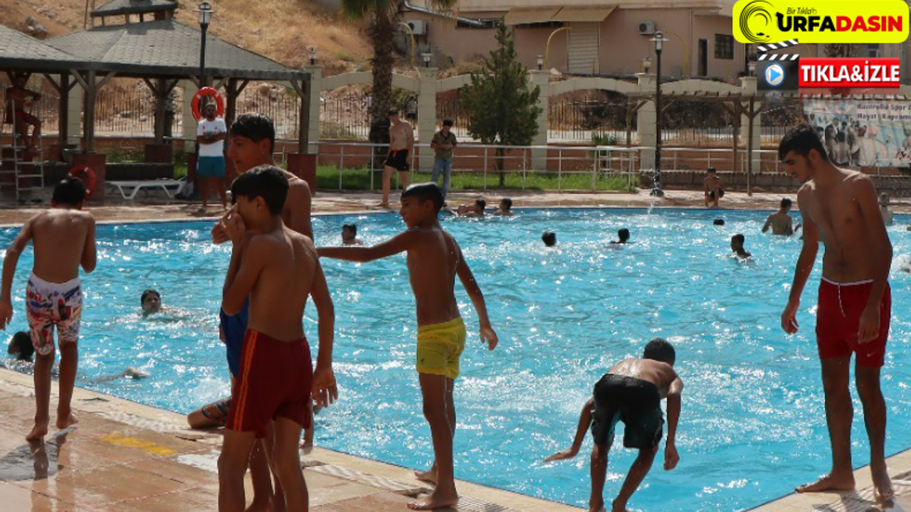 Urfalı Gençler Büyükşehir Yüzme Havuzlarında Serinledi