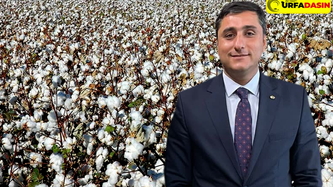 Başkan Karadağ: “Çiftçi Pamuk Ekemiyor”