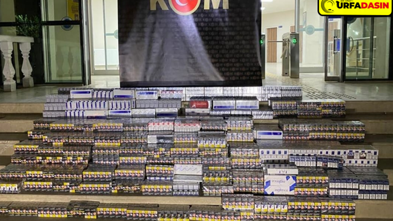 Şanlıurfa’da 7 Bin 390 Paket Kaçak Sigara Ele Geçirildi