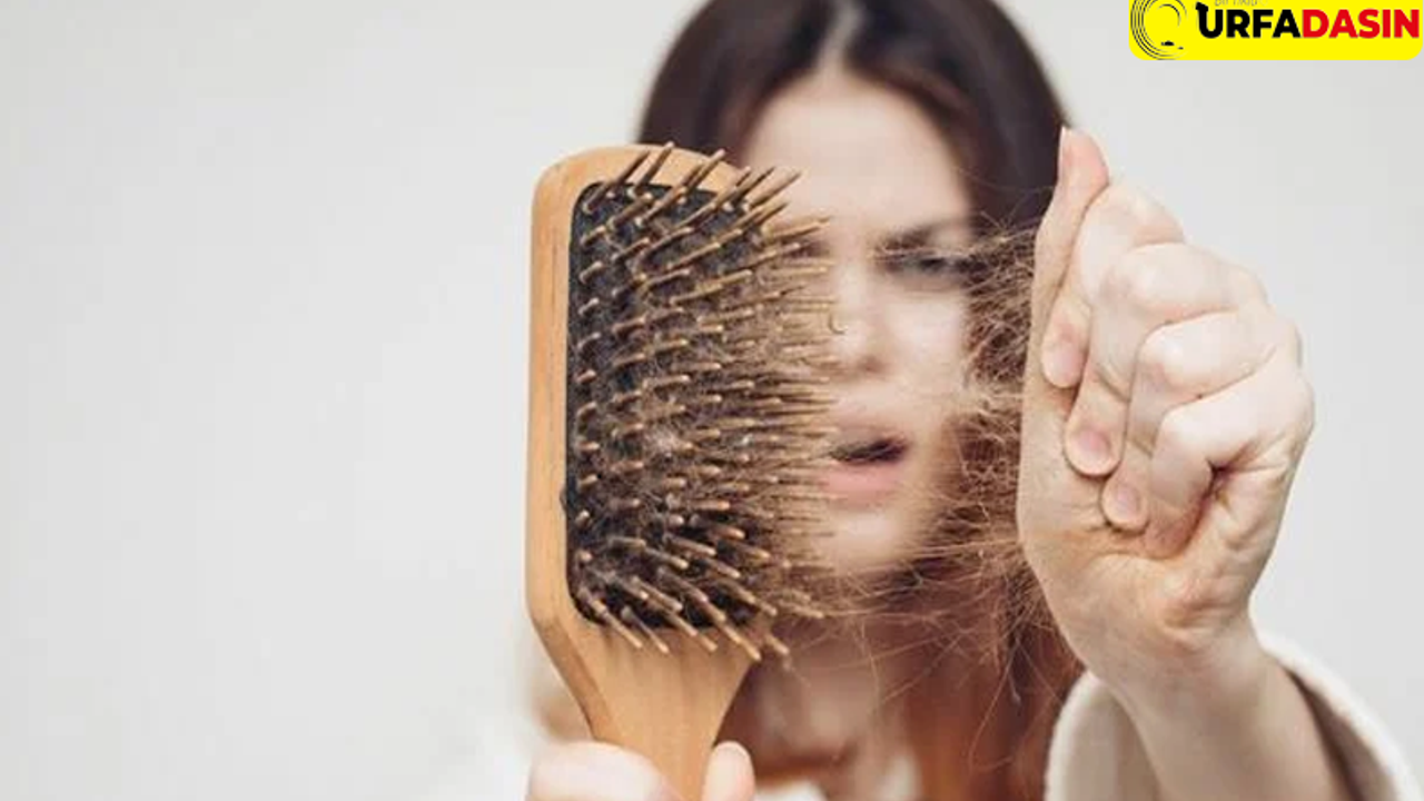 Saç Dökülmesini Durdurmaya Yardımcı Olan Besinler