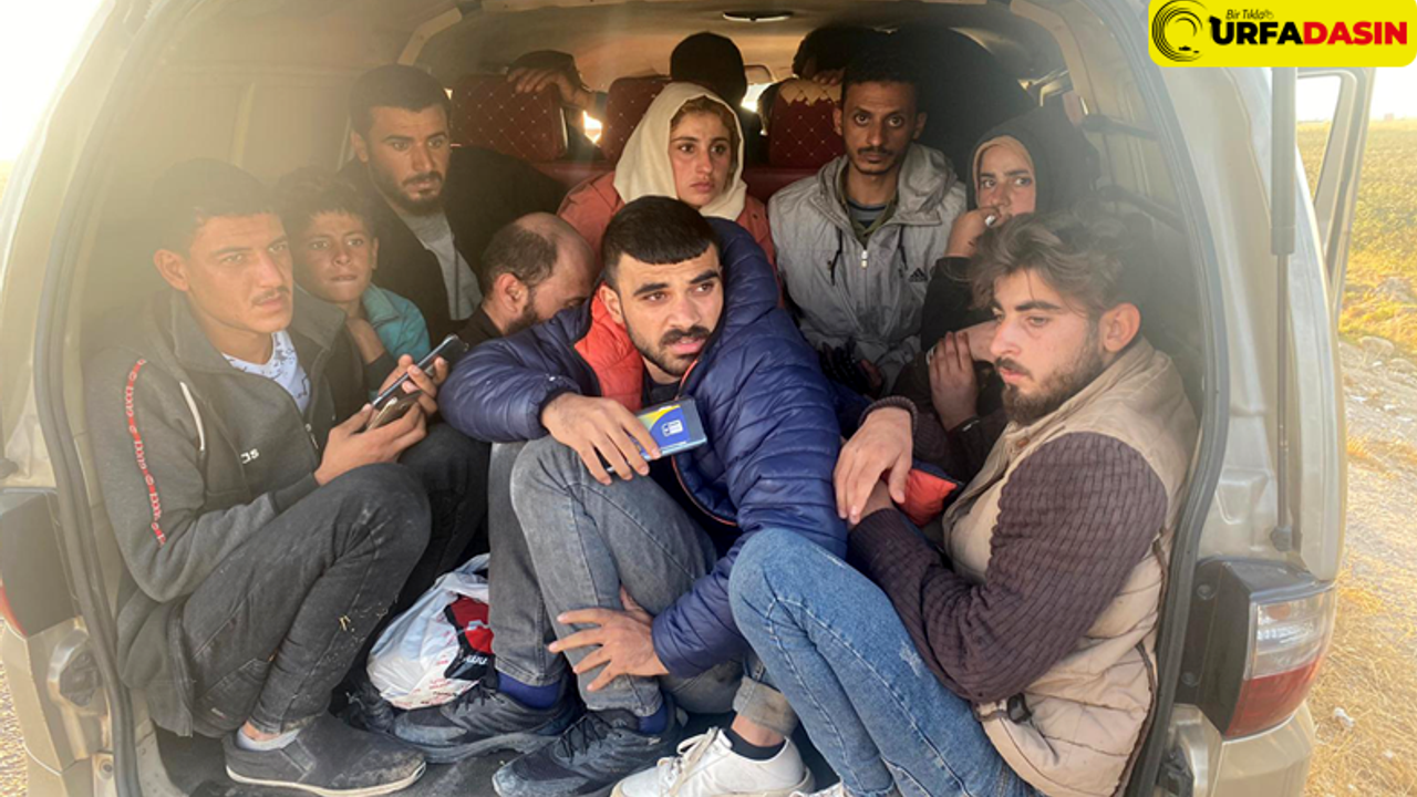 Jandarma, Şanlıurfa’da 18 Düzensiz Göçmen Yakaladı