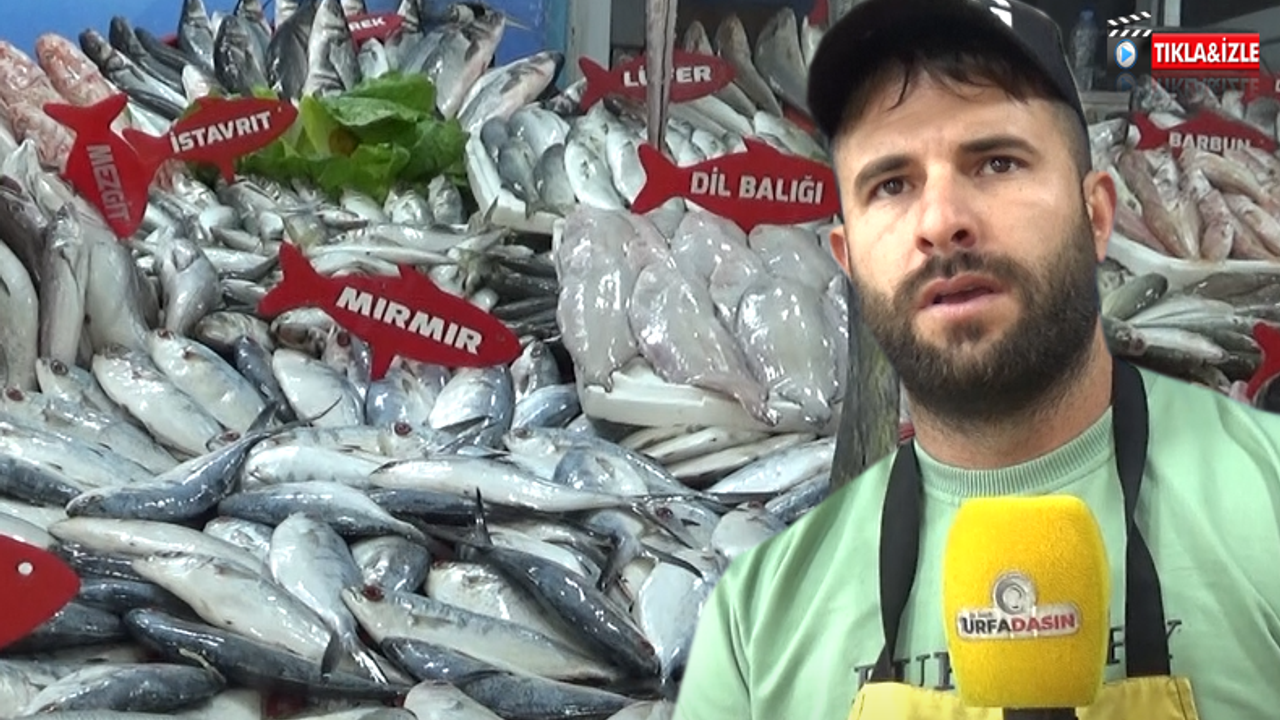 Kebap Diyarı Urfa’da Balık Tüketimi Artıyor