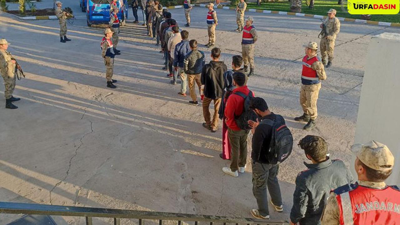 Şanlıurfa'da 26 Göçmen Jandarma Tarafından Yakalandı
