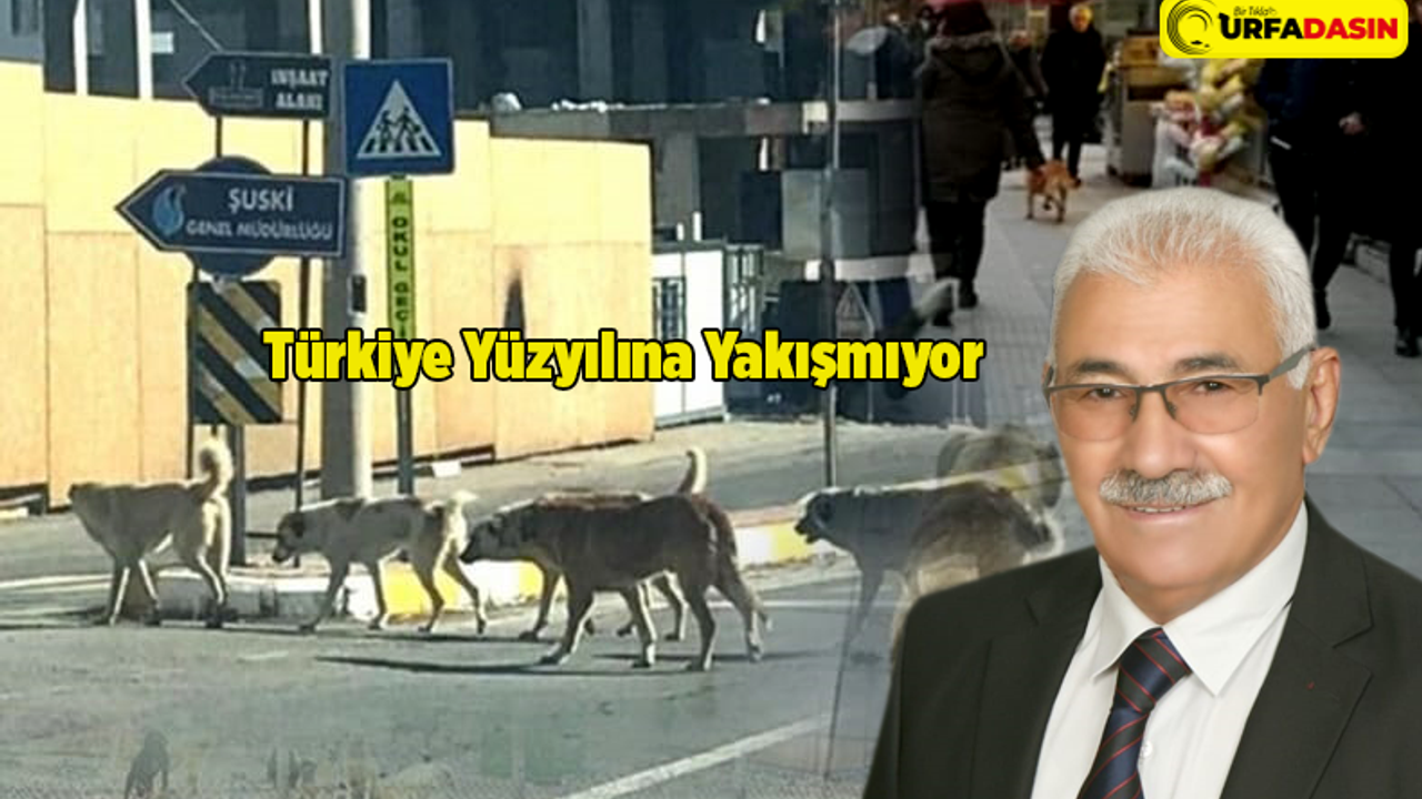 Yavuz, Bitlis’teki Kuduz Vakasını Hatırlattı Urfa’ya Dikkat Çekti