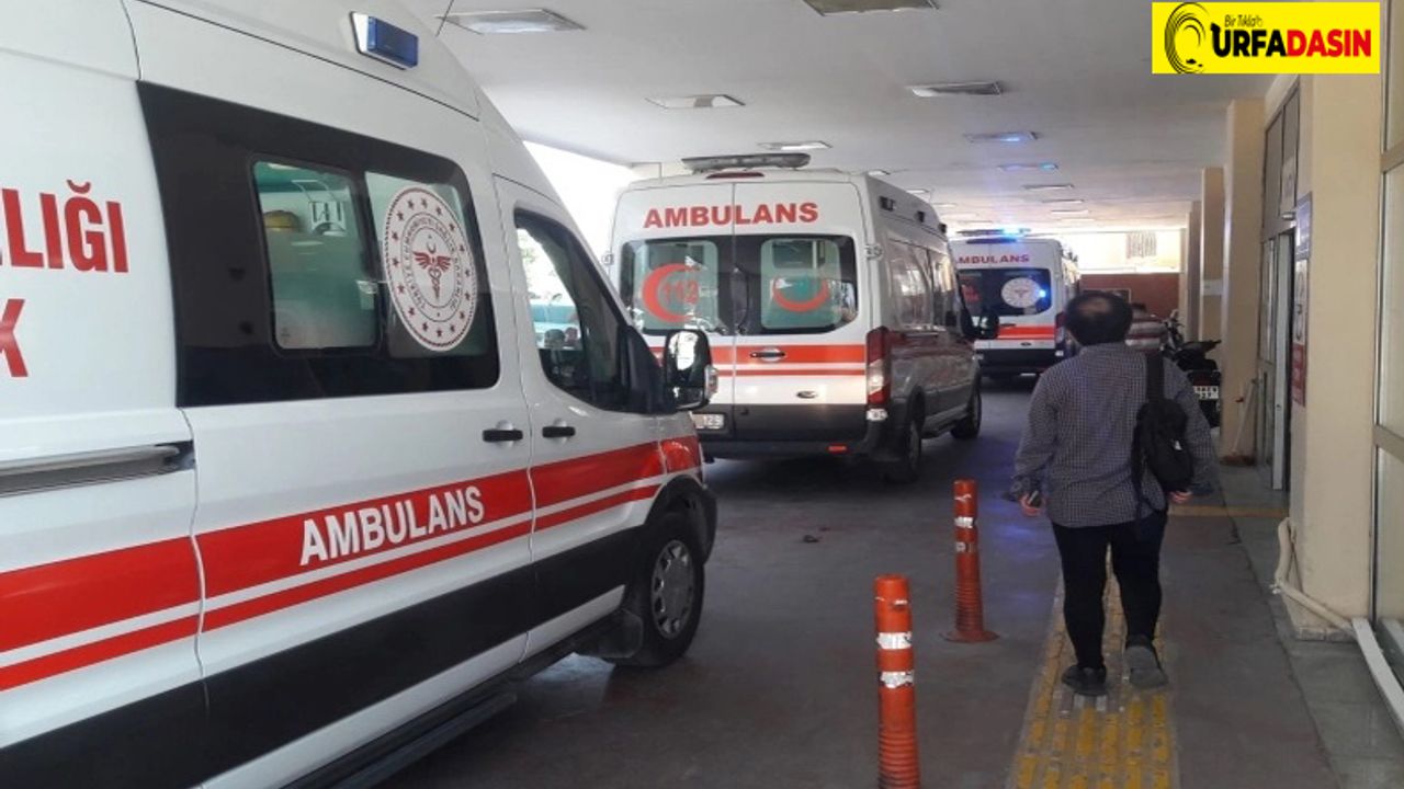 Urfa’da Otomobil Tıra Arkadan Çarptı: 4 Yaralı