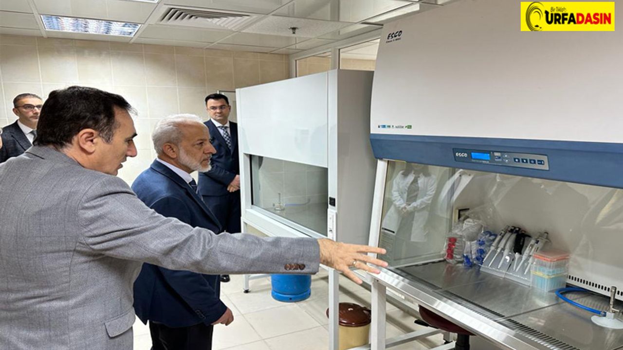 HRÜ'de Hücre Kültürü ve Genom Araştırma Laboratuvarı Açıldı