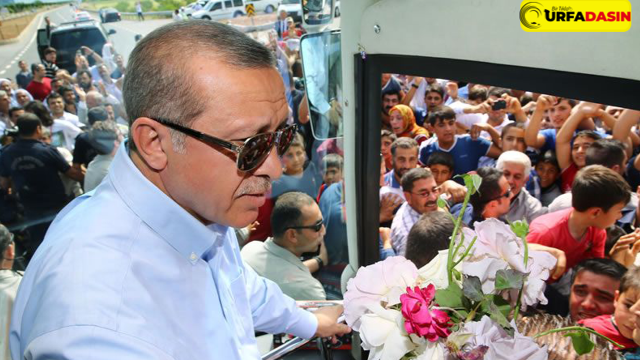 Erdoğan Bugün Urfa’da, 532 Projenin Açılışını Yapacak