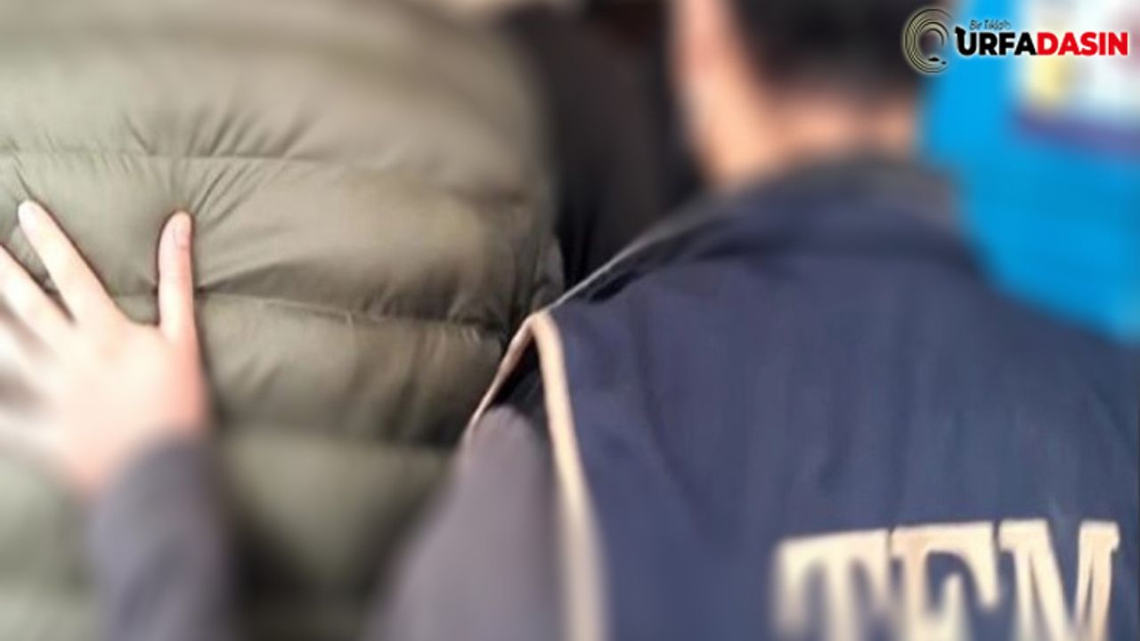 Şanlıurfa'da DEAŞ Operasyonu 9 Gözaltı