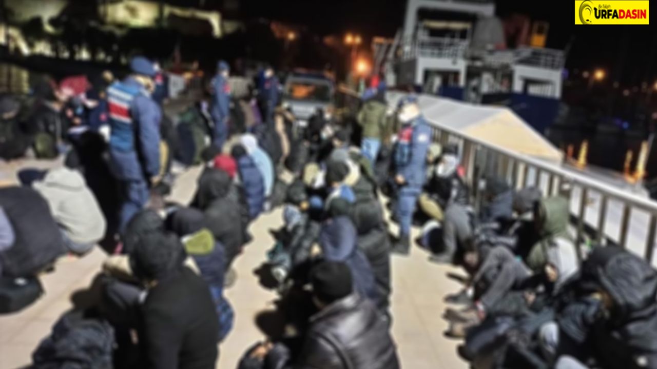 Şanlıurfa'da Barakada 30 Kaçak Göçmen Yakalandı