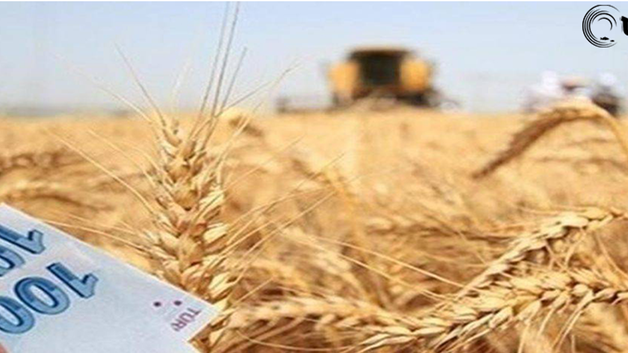 Çiftçilere Müjde: Destekleme Ödemeleri Başladı