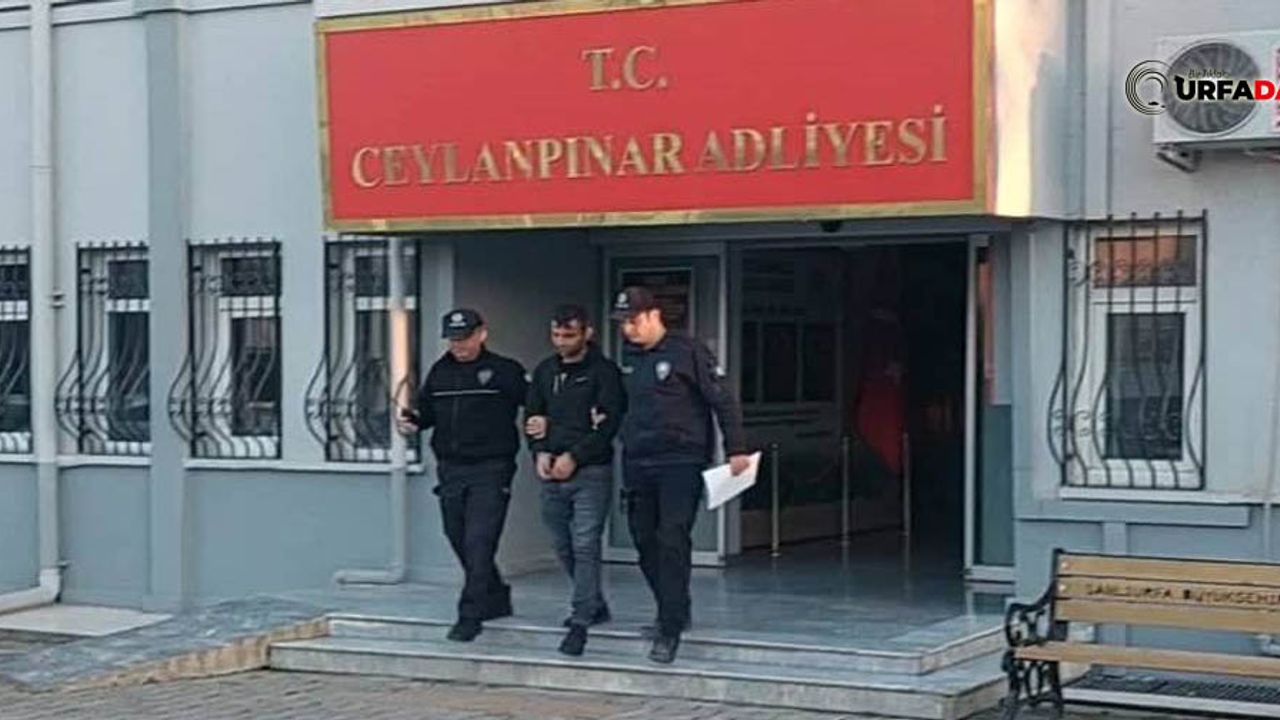 İzmir'de Aranıyordu Urfa'da Yakalandı!