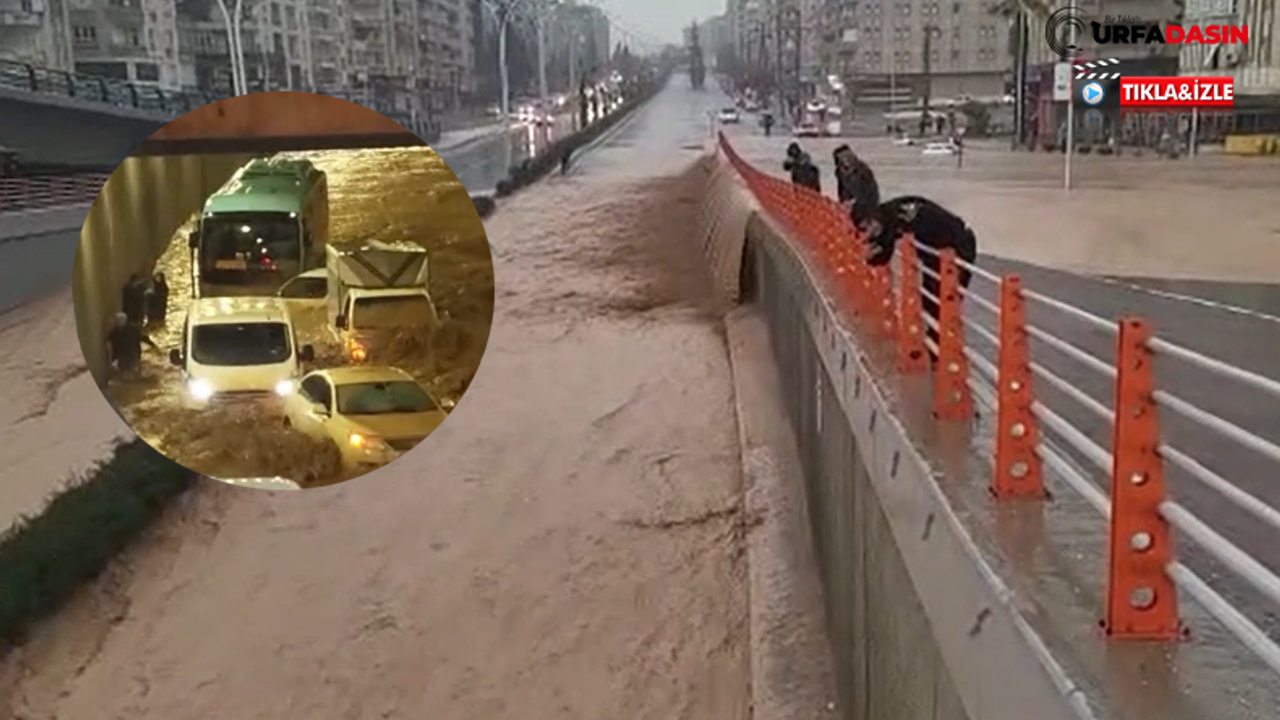 Abide'deki Dal Geçi Sel Suları Basmadan Dakikalar Öncesinin Videosu