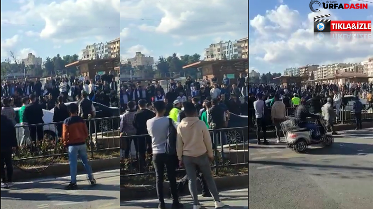 Urfa'da Kentin Merkezinde İki Grup Arasında Kavga
