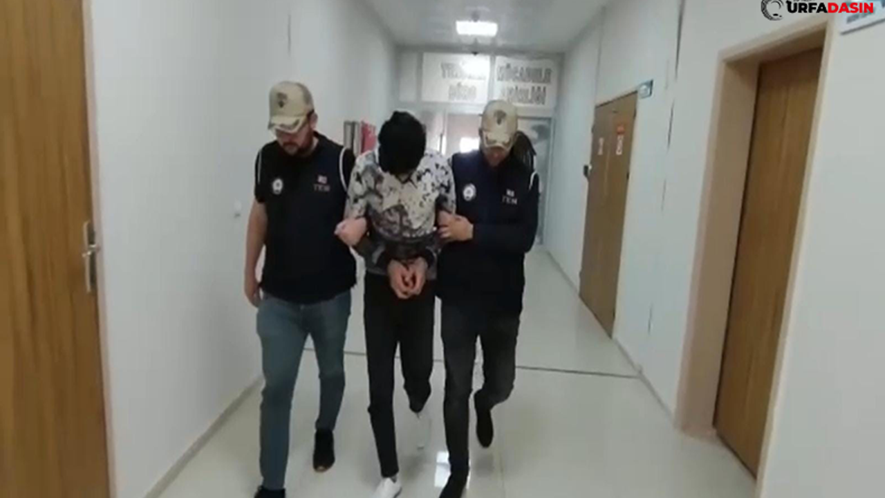 Şanlıurfa’da Terör Örgütü Üyeliğinden Aranan Zanlı Yakalandı
