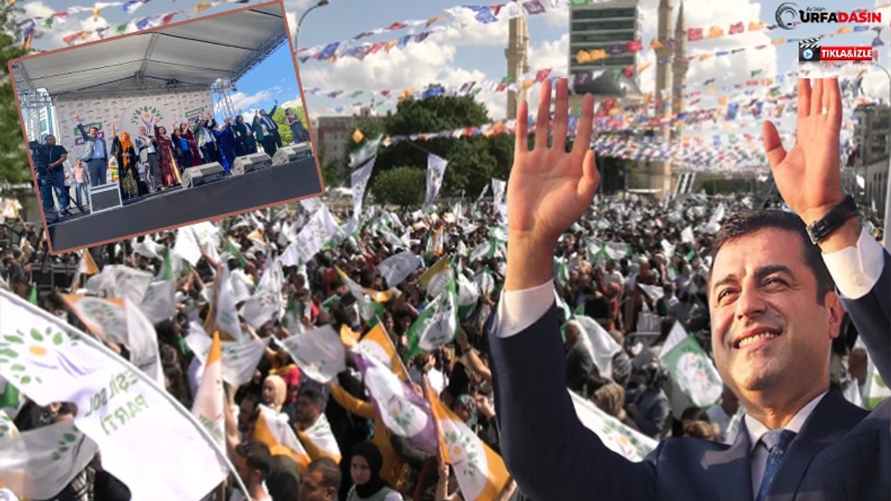 Urfa'da Yeşil Sol Parti'den Coşkulu Miting