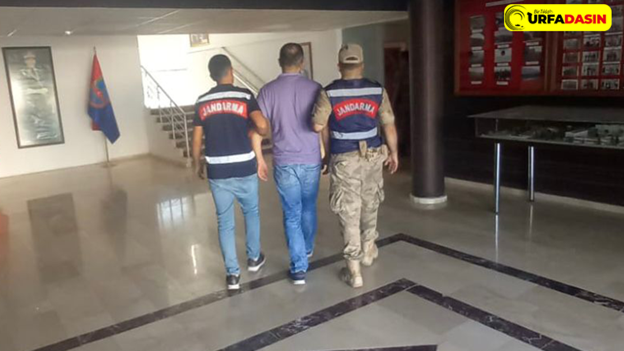 Şanlıurfa’da PKK ve FETÖ Operasyonları: 2 Gözaltı
