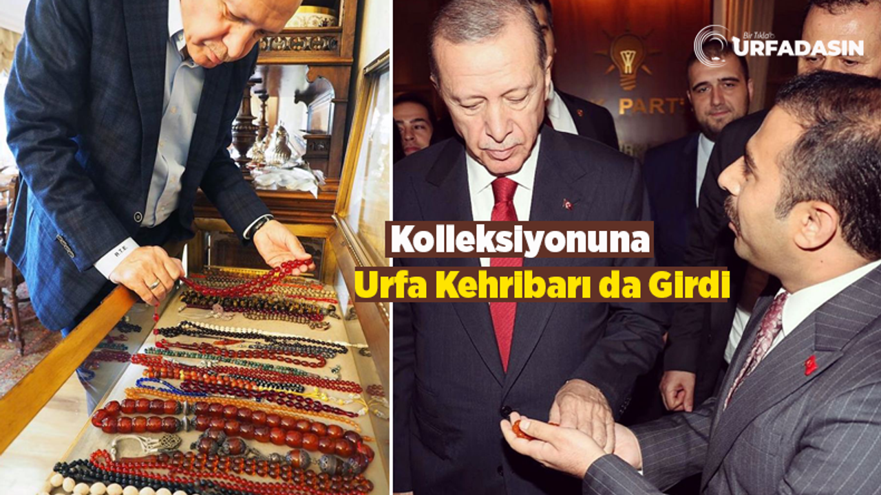 Şanlıurfalı Vali Yardımcısından, Cumhurbaşkanı Erdoğan'a Çok Özel Urfa Hediyesi