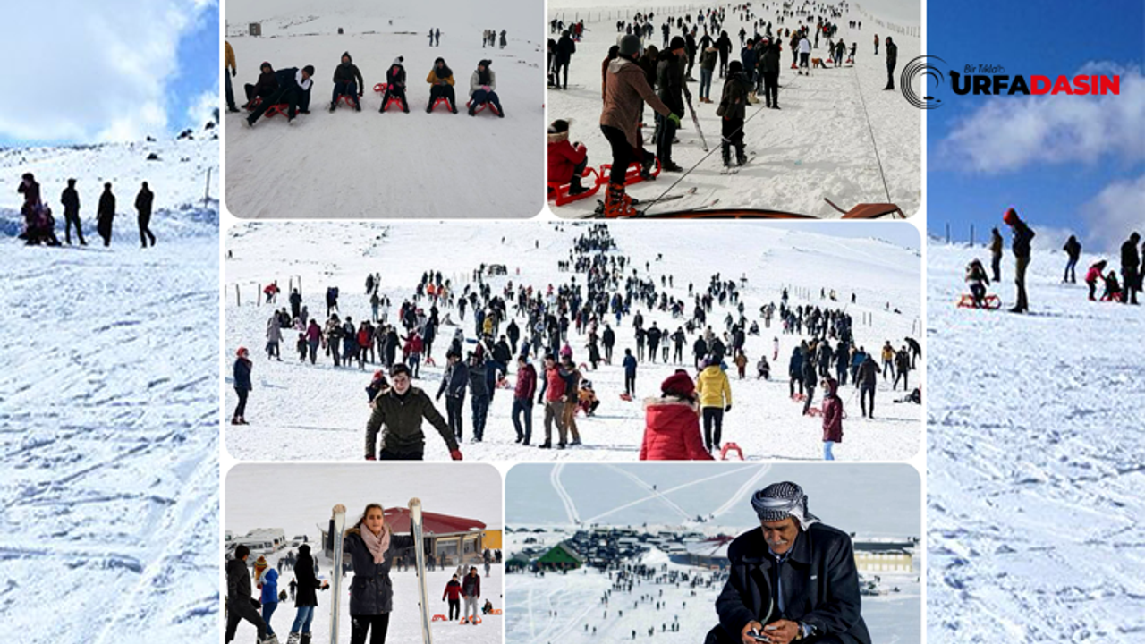 Şanlıurfa'nın Karacadağ Kayak Merkezine Akın Var