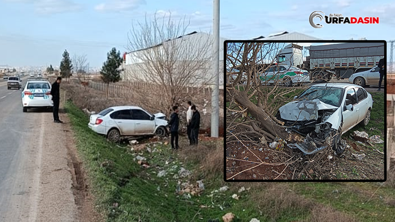 Şanlıurfa'da Otomobil Yoldan Çıkıp Şarampoldeki Ağaca Çarptı: 1'i Bebek 4 Yaralı