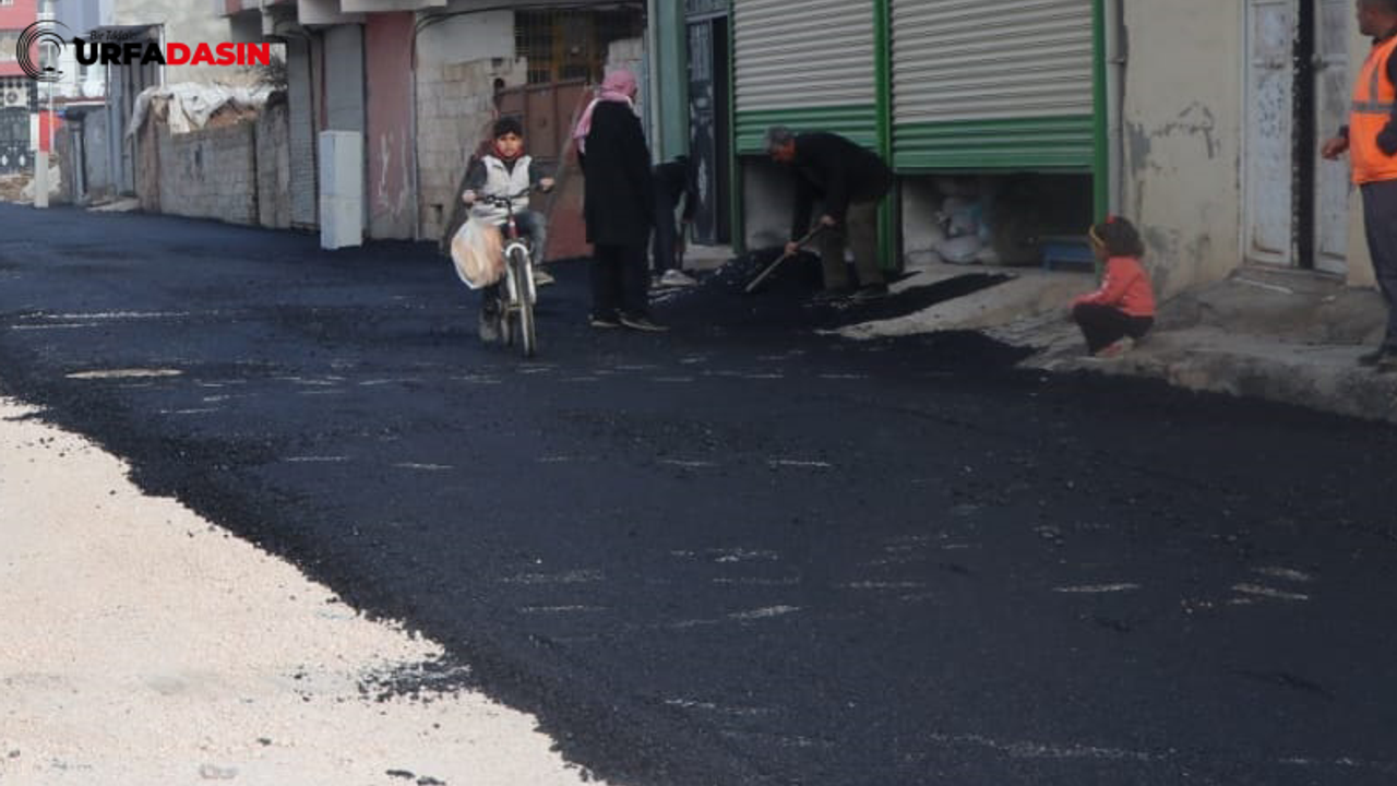 Viranşehir Bahçelievler Mahallesinde Sıcak Asfaltla Çalışması