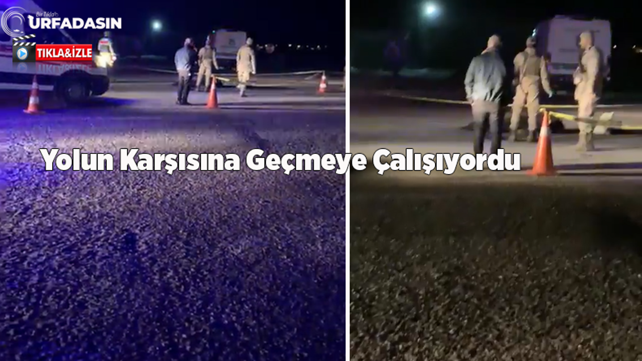 Yol Aydınlatması Bulunmayan Viranşehir Karayolunda Kahreden Kaza