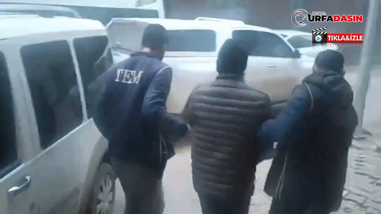 Şanlıurfa'da DEAŞ Operasyonu: 11 Gözaltı
