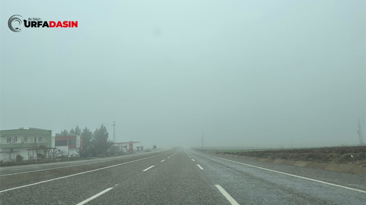 Şanlıurfa - Adıyaman kara yolunda yoğun sis