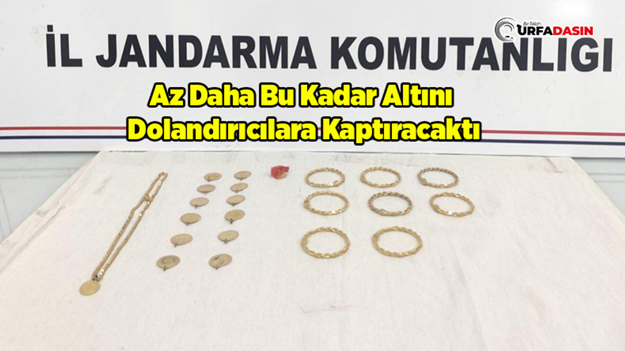 Şanlıurfa’da Devriye Atan Jandarma 3 Milyon Liralık Dolandırıcılığı Önledi