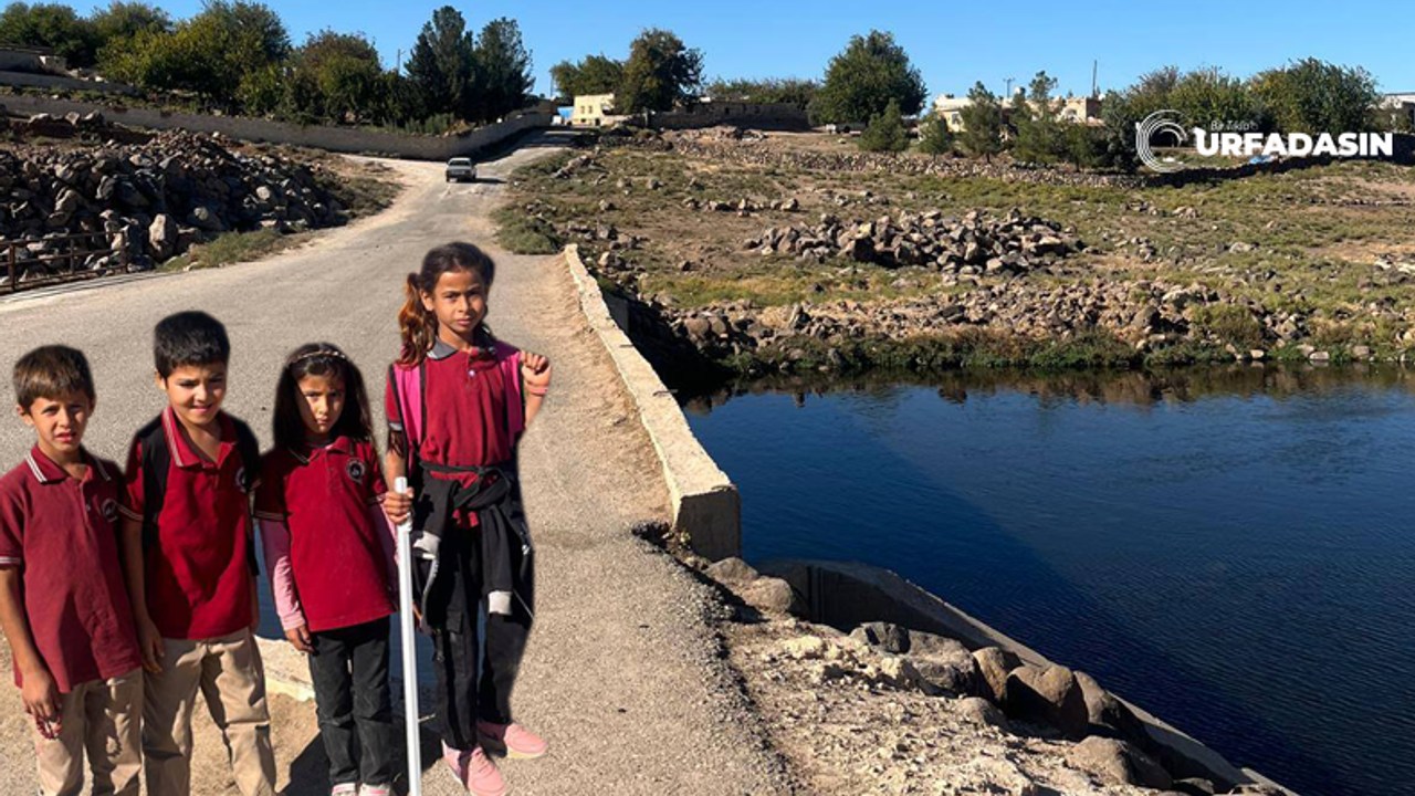 Bu Köprünün Sağına Soluna Demir Korkuluk Yapmak Çok Mu Zor?