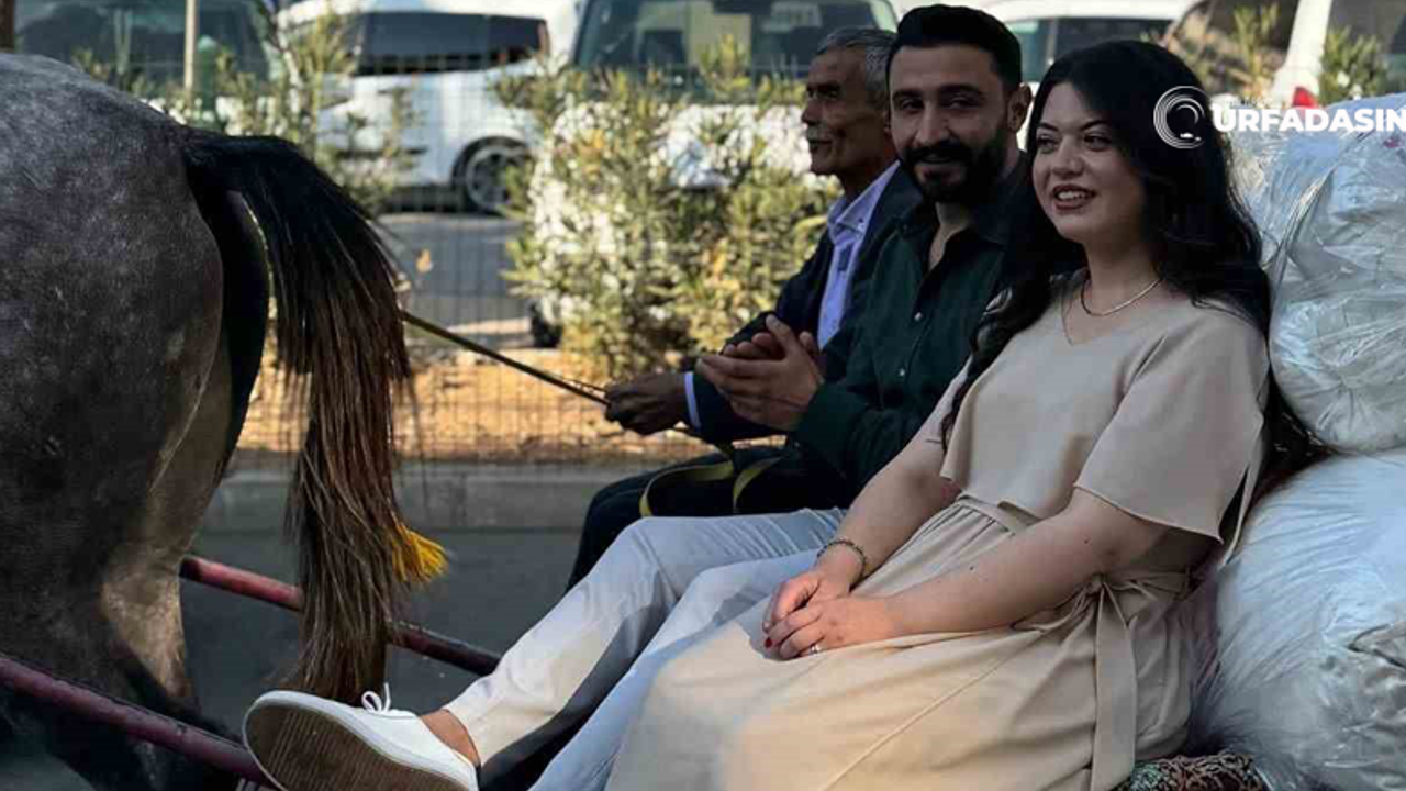 Sırf Sosyal Medyada Paylaşım Yapmak İçin Çeyizi At Arabasıyla Taşıdılar