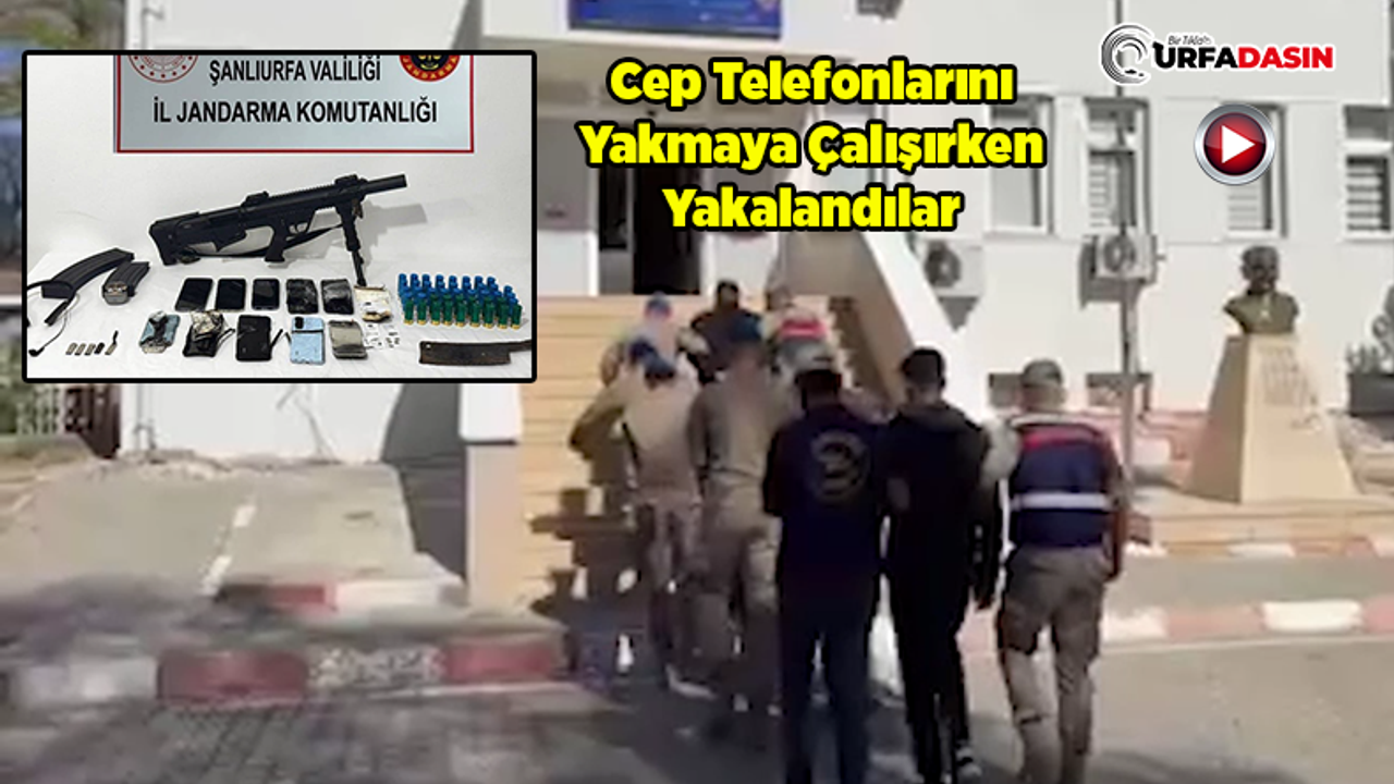 Şanlıurfa'da 11 Milyon Liralık Dolandırıcılık Yapan Suç Örgütüne Operasyon: