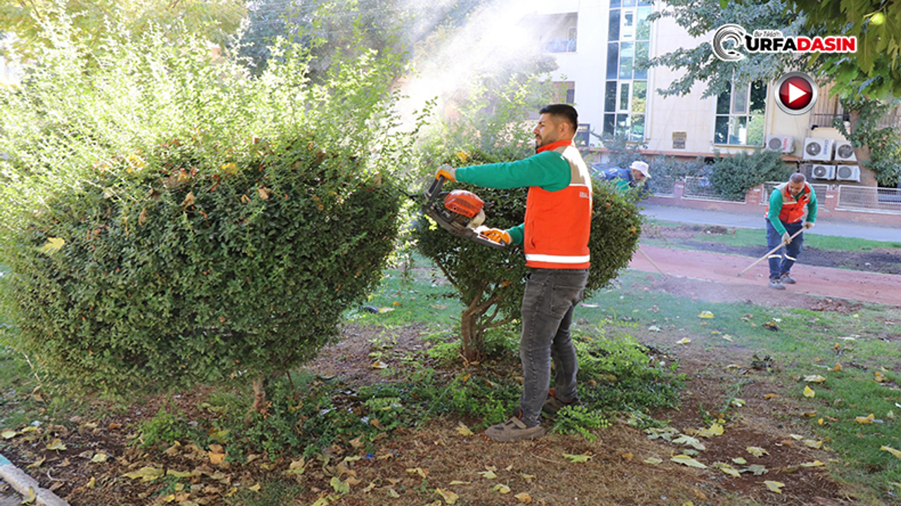 Haliliye’de Yeşil Dönüşüm Devam Ediyor, İlçe Güzelleşiyor