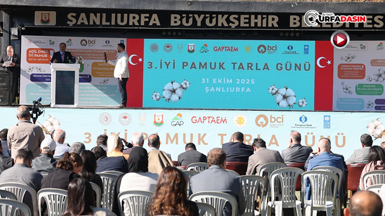 Şanlıurfa’da Kaliteli Pamuk Üretimi İçin "İyi Pamuk Tarla Günü" Etkinliği Yapıldı